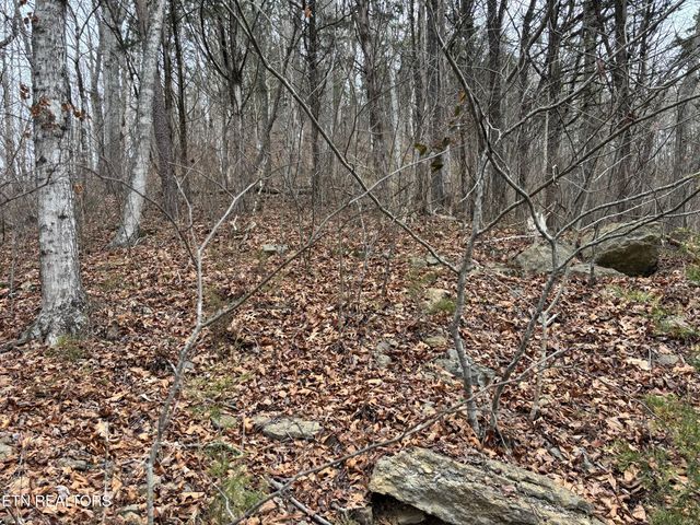 Russell Brothers Road Rd, Maynardville, TN 37807