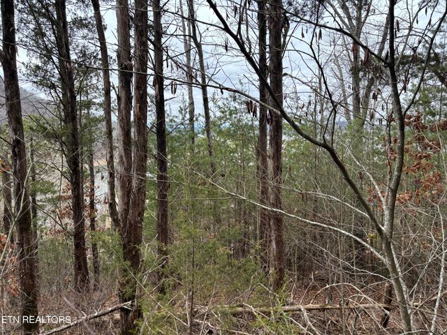 Russell Brothers Road Rd, Maynardville, TN 37807