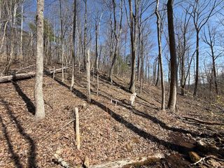 TBD Woodvale RD, Copper Hill, VA 24079