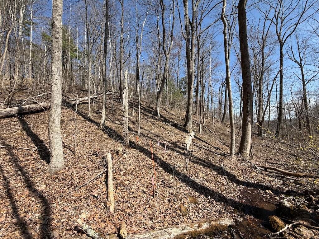 TBD Woodvale RD, Copper Hill, VA 24079