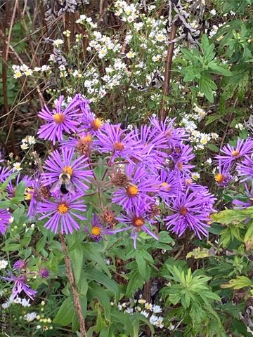 136 John Street, Kingston, NY 12401