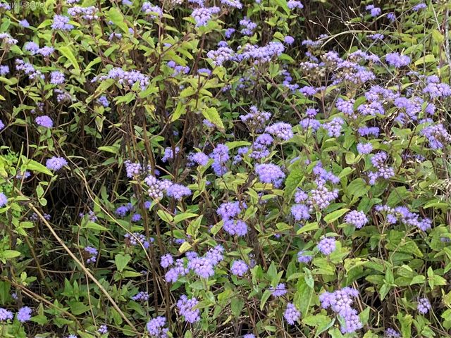 136 John Street, Kingston, NY 12401