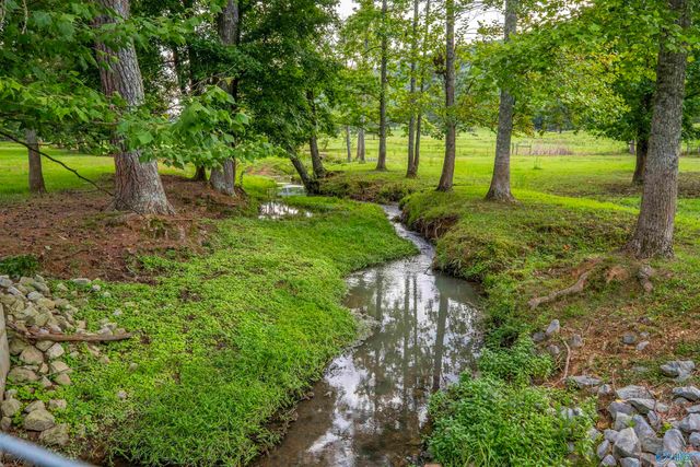 7805 Owls Hollow Road, Gadsden, AL 35901