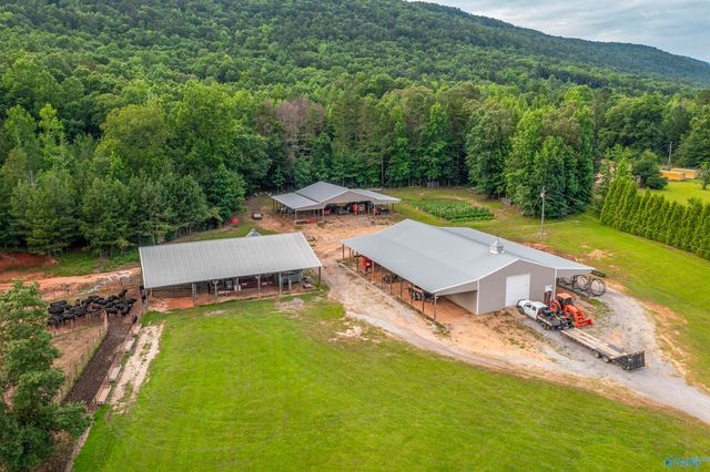 7805 Owls Hollow Road, Gadsden, AL 35901