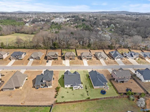 14193 Grey Goose Lane, Harvest, AL 35749