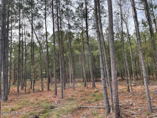 257 Garbacon Drive Drive, Beaufort, NC 28516