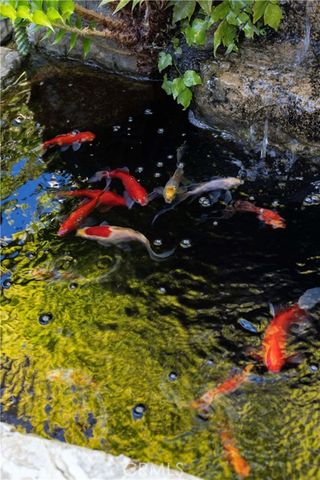 1960 Ocean, Laguna Beach, CA 92651