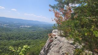 Lot 310 Big Spring Gap, Pikeville, TN 37367