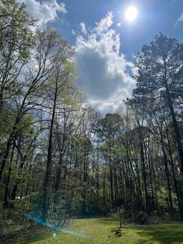 2523 Holy Ridge Rd, Traskwood, AR 72167