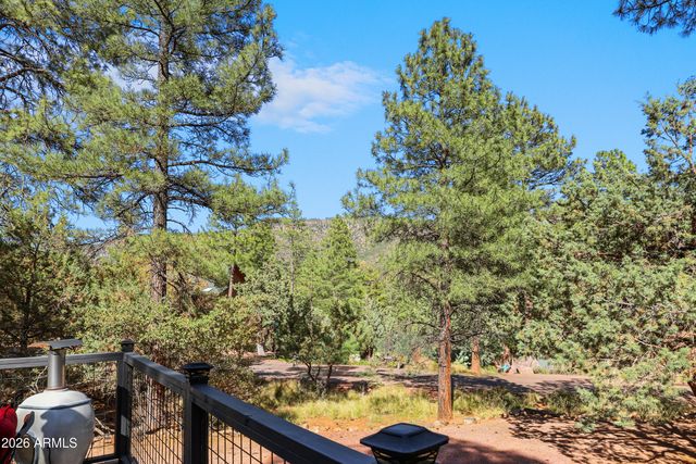 4872 N Trails End Drive, Pine, AZ 85544