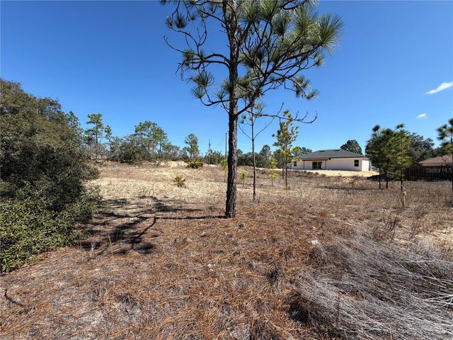 6725 N KILLINGER TERRACE, Citrus Springs, FL 34433