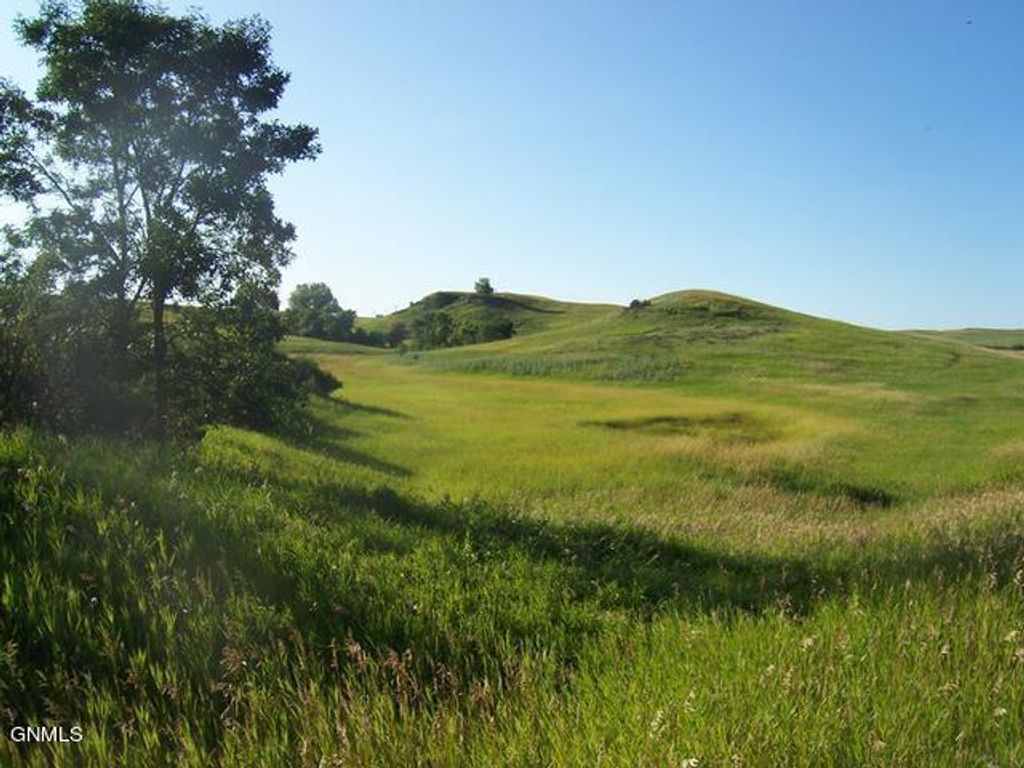 14134 Trail Boss Way, Bismarck, ND 58503 photo 3