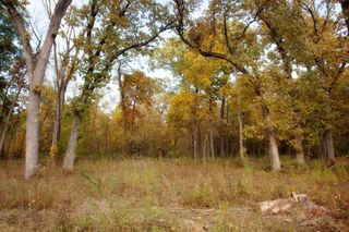 3820-lot 83 167th Avenue, Lowell, IN 46356