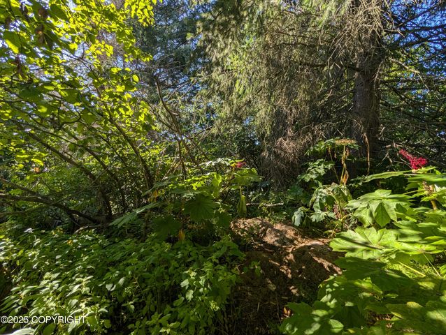 421 Soundview Avenue, Homer, AK 99603