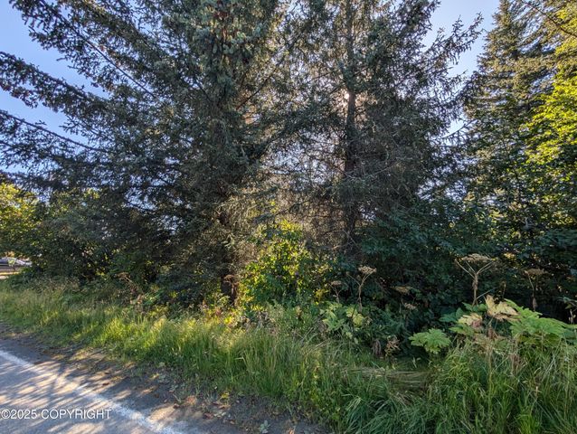 421 Soundview Avenue, Homer, AK 99603