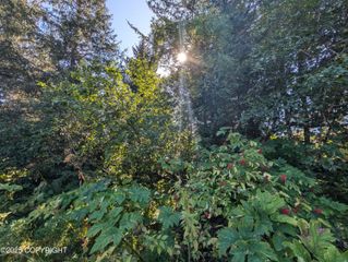 421 Soundview Avenue, Homer, AK 99603