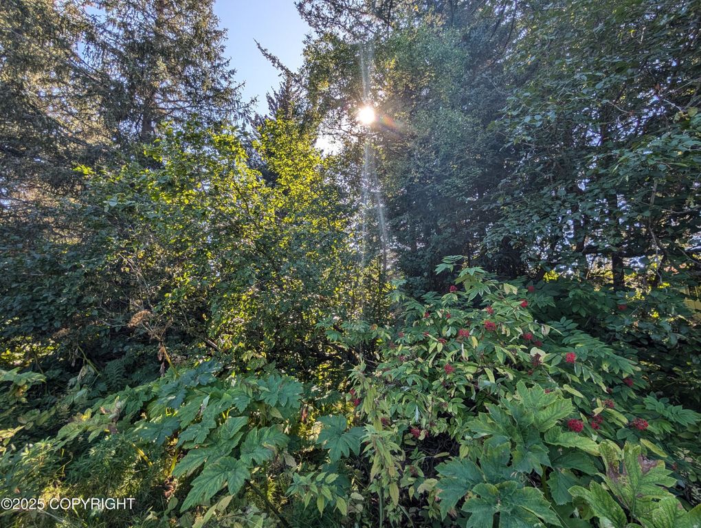 421 Soundview Avenue, Homer, AK 99603