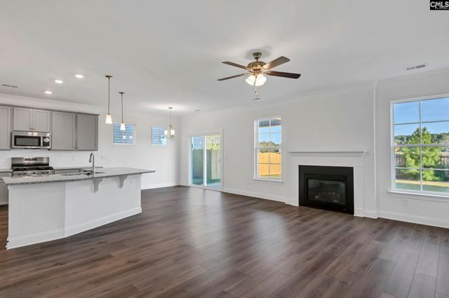 259 Lemon Tree Crossing, Elgin, SC 29045