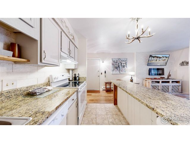 2760 Fall River Rd 288, Estes Park, CO 80517