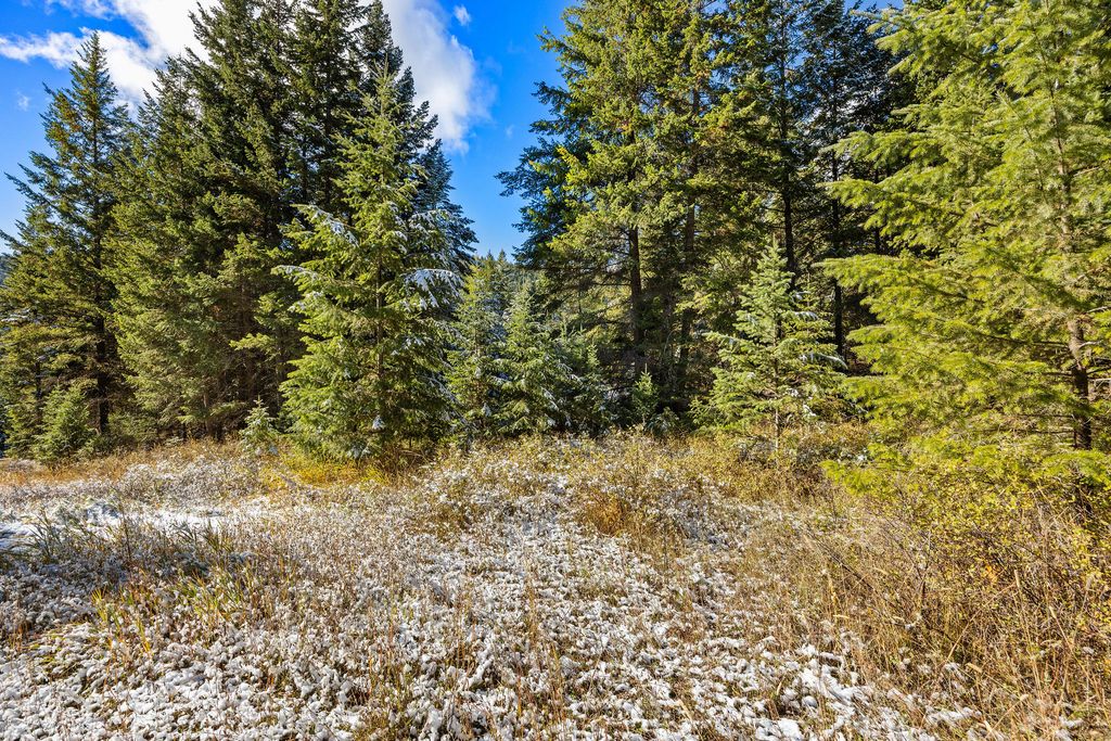 1426 Bierney Creek Road, Lakeside, MT 59922 photo 3
