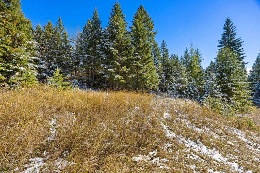 1426 Bierney Creek Road, Lakeside, MT 59922 photo 4
