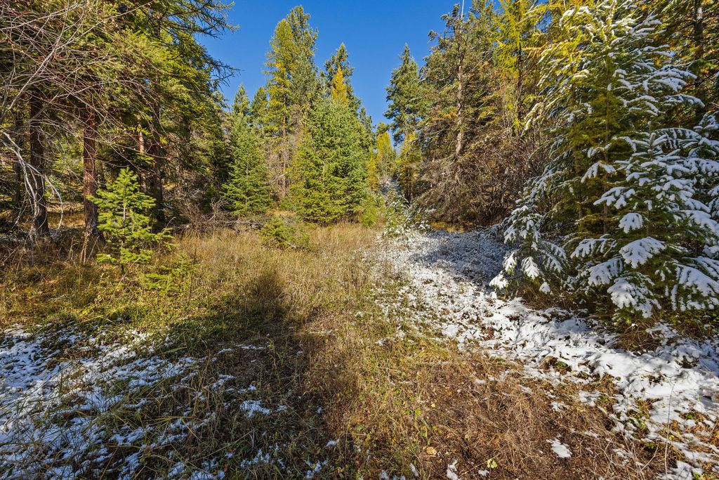 1426 Bierney Creek Road, Lakeside, MT 59922 photo 5