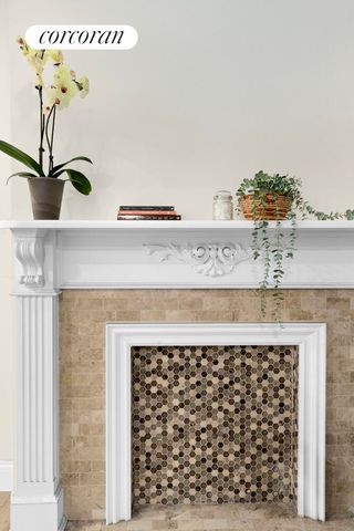 607 HALSEY Street, New York City, NY 11233