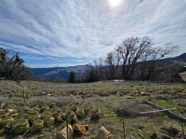 495 Wool Mt. Road, Zenia, CA 95595