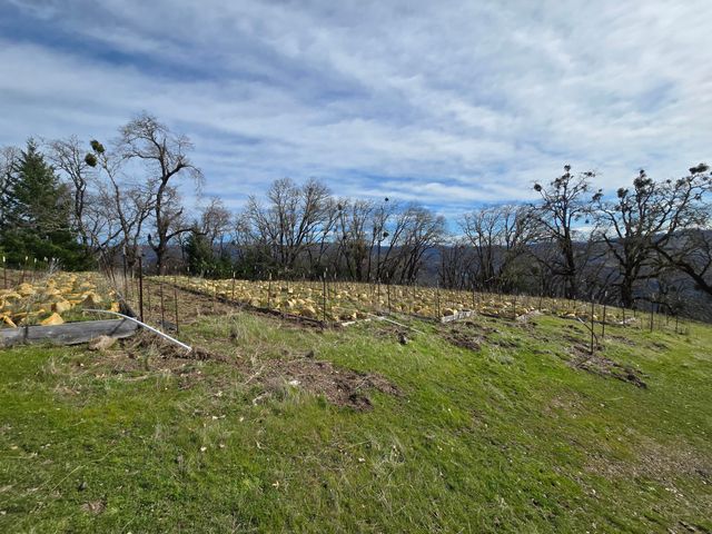 495 Wool Mt. Road, Zenia, CA 95595