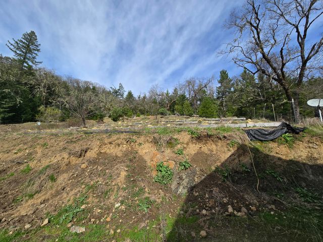 495 Wool Mt. Road, Zenia, CA 95595