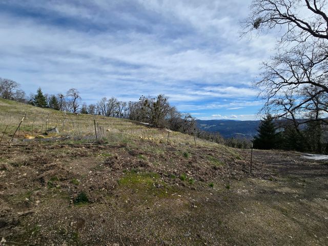 495 Wool Mt. Road, Zenia, CA 95595