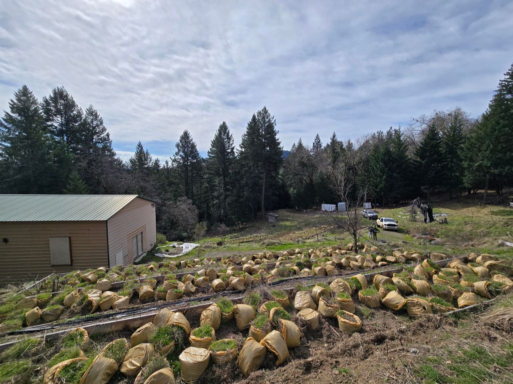 495 Wool Mt. Road, Zenia, CA 95595