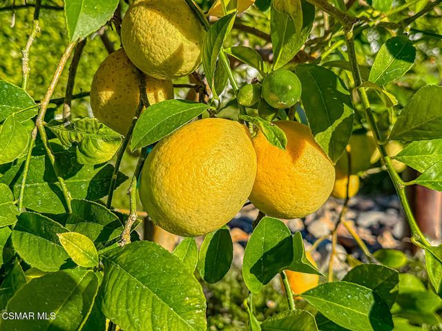 4255 Saddlecrest Lane, Westlake Village, CA 91361