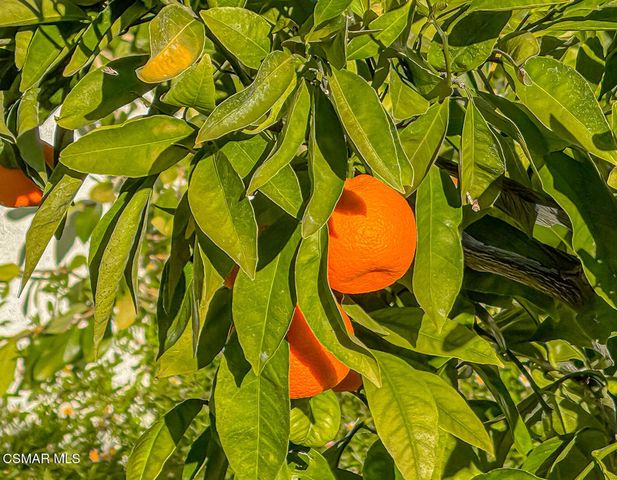 4255 Saddlecrest Lane, Westlake Village, CA 91361