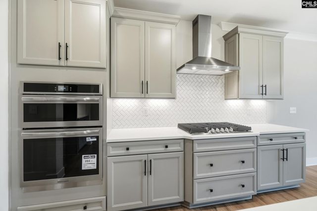 263 Lemon Tree Crossing, Elgin, SC 29045