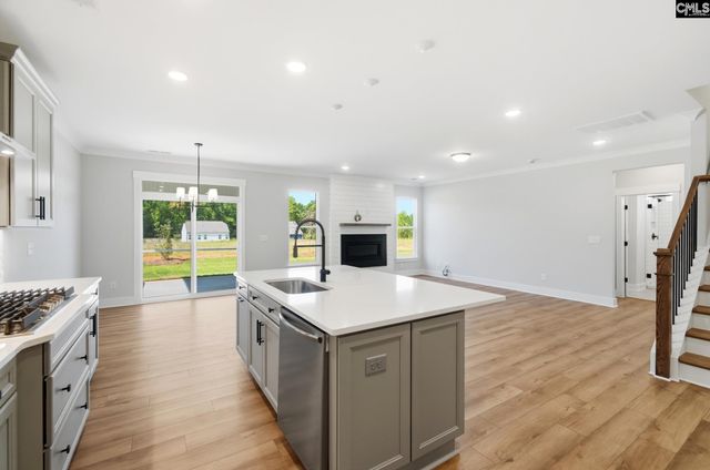 263 Lemon Tree Crossing, Elgin, SC 29045
