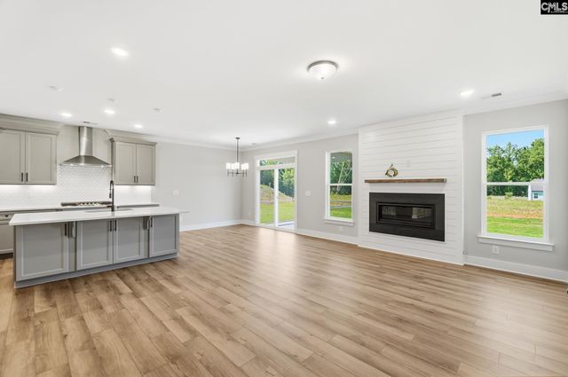 263 Lemon Tree Crossing, Elgin, SC 29045