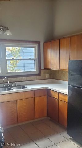 504 Larkin Avenue, Akron, OH 44305