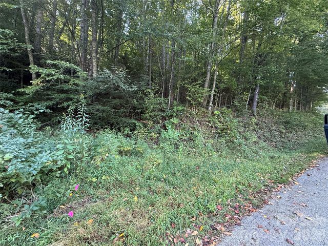 000A Bobcat Road, Waynesville, NC 28785