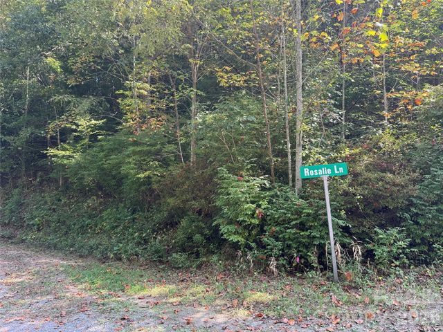 000A Bobcat Road, Waynesville, NC 28785