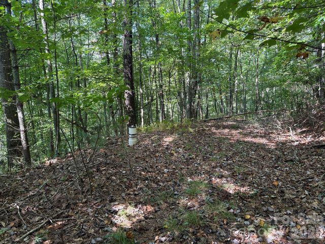 000A Bobcat Road, Waynesville, NC 28785