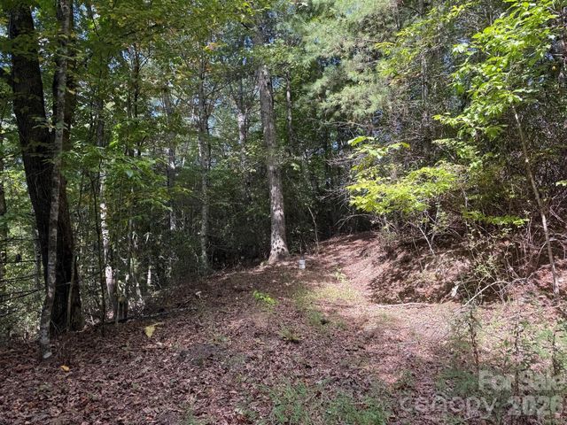 000A Bobcat Road, Waynesville, NC 28785
