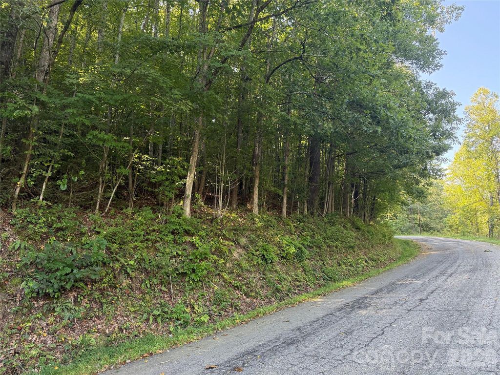 000A Bobcat Road, Waynesville, NC 28785
