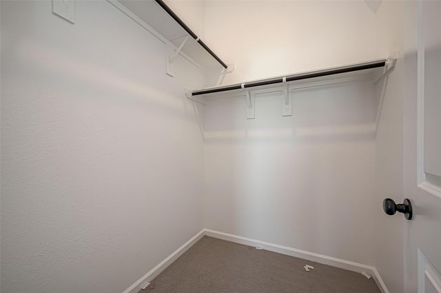 12934 California Palm Court, Hockley, TX 77447