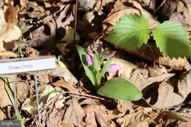 1185 BELLE MEADE RD, Bumpass, VA 23024