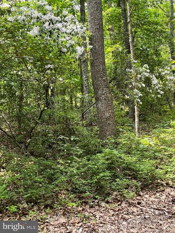 1185 BELLE MEADE RD, Bumpass, VA 23024