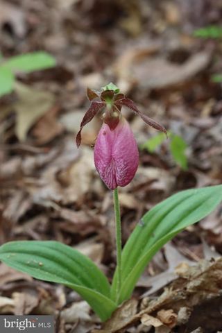 1185 BELLE MEADE RD, Bumpass, VA 23024