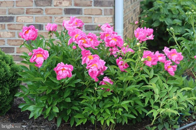 1185 BELLE MEADE RD, Bumpass, VA 23024