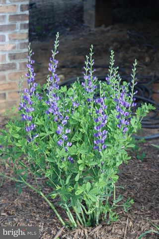 1185 BELLE MEADE RD, Bumpass, VA 23024