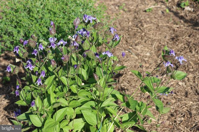 1185 BELLE MEADE RD, Bumpass, VA 23024